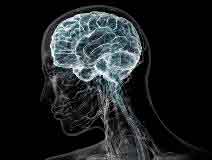 Мрт головного мозга с ангиографией и мрт гипофиза