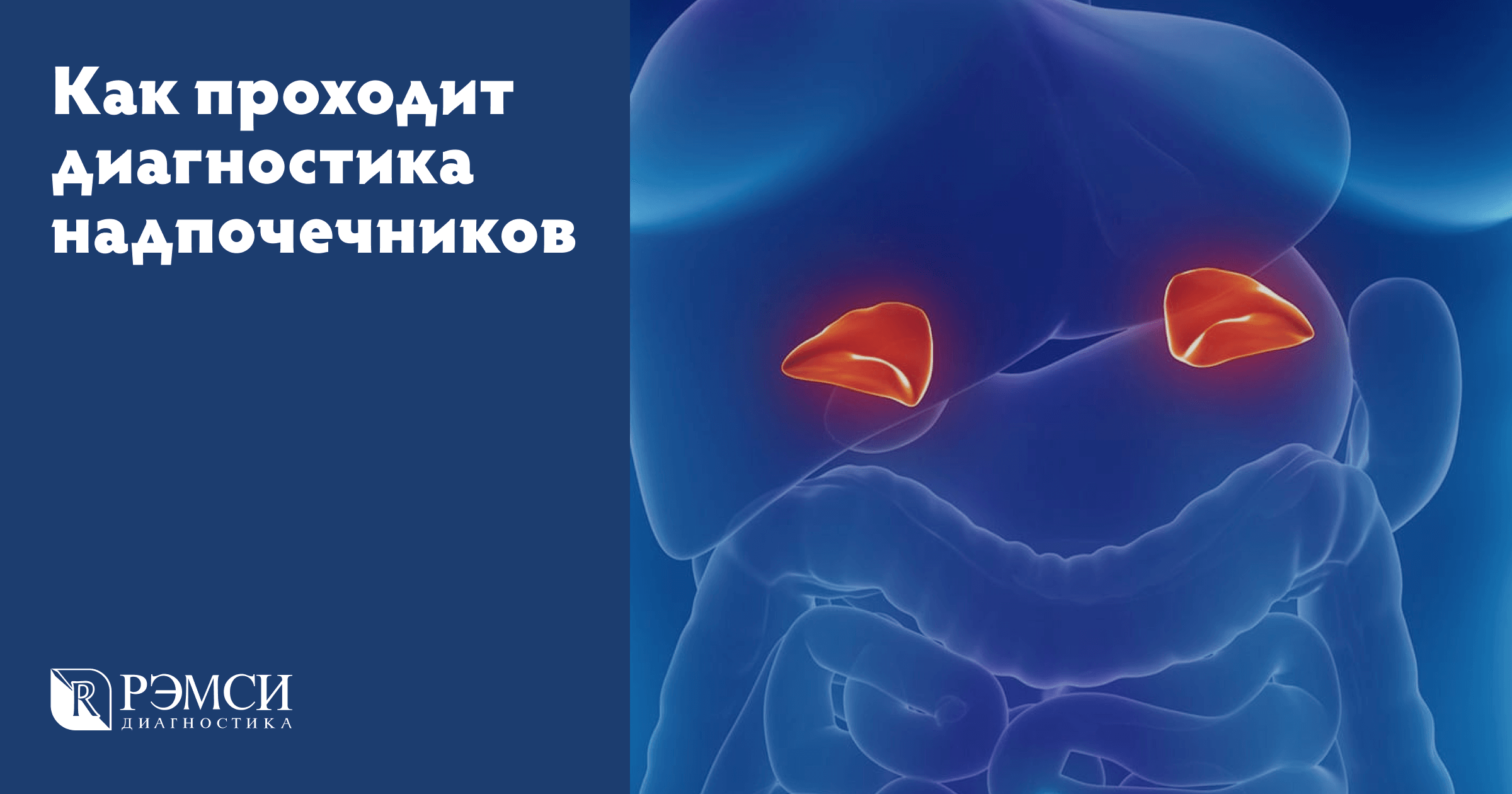 Как проходит диагностика надпочечников | Блог о здоровье